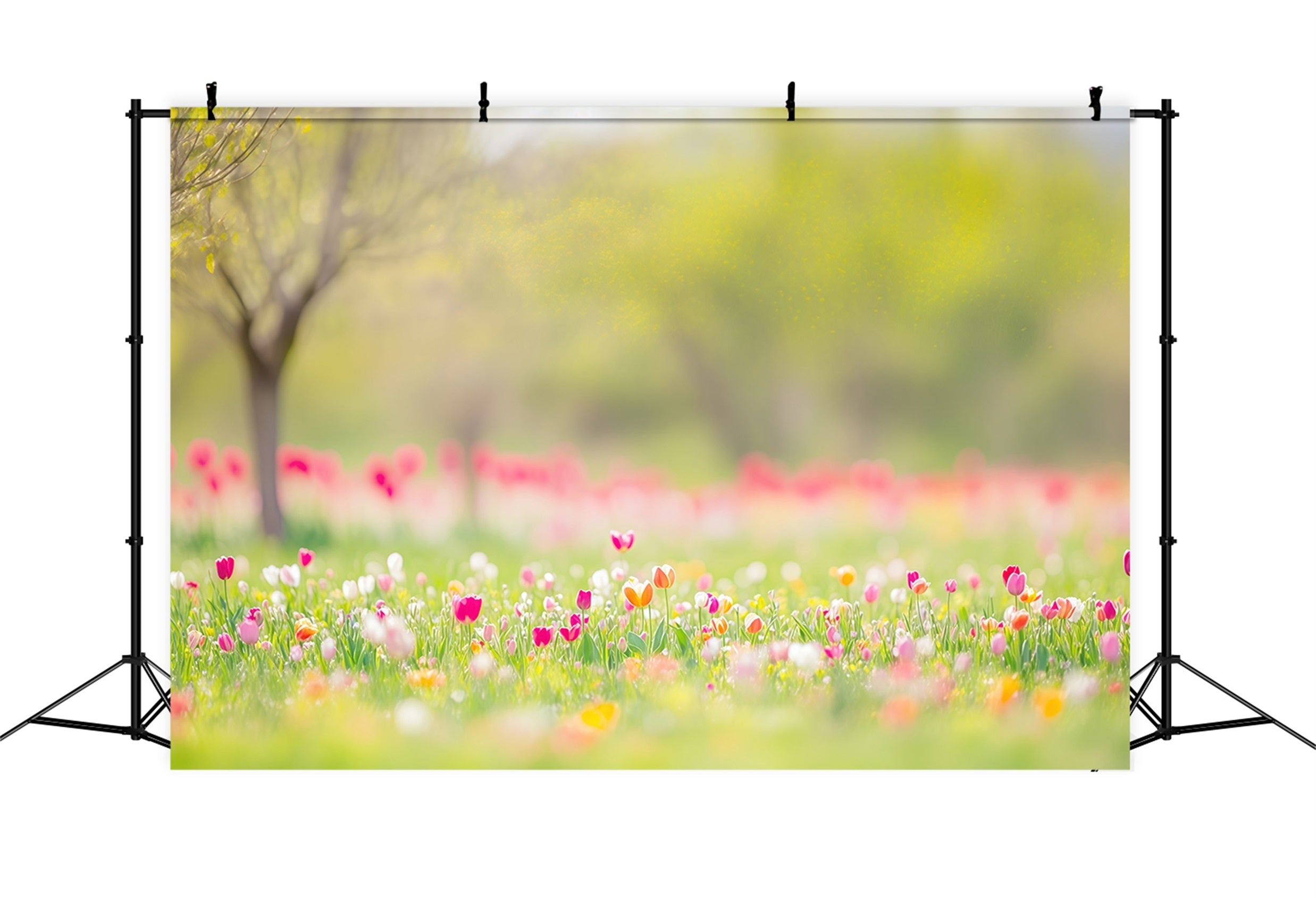 Easter Natural Backdrop Spring Tulip Meadow Trees Easter Themed Backdrops CSH63-45