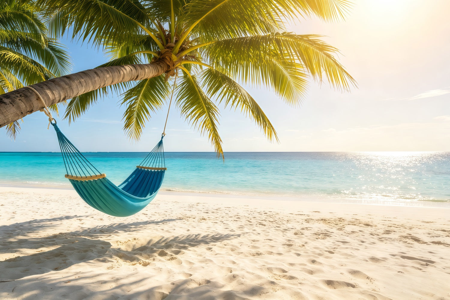 Beach Backdrop Sunny Palm Hammock Sea Escape Summer Backdrops CSH64-89