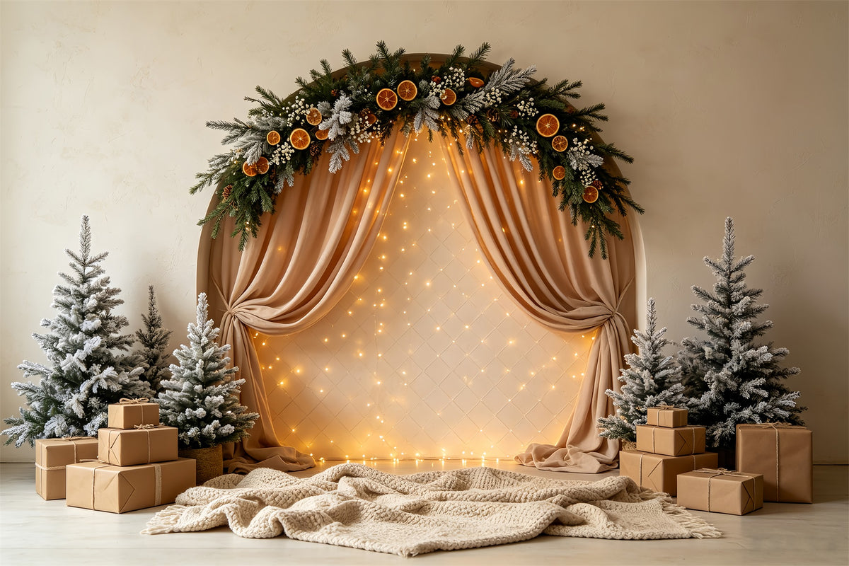 Christmas Lights Backdrop Frosted Arch Garland Curtain Backdrop Christmas CSH68-56