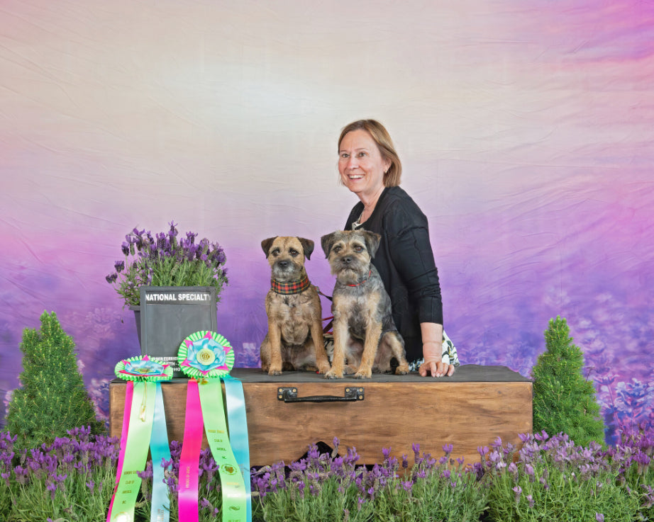 Lavender Field Purple Flowers Summer Photography Backdrop D790