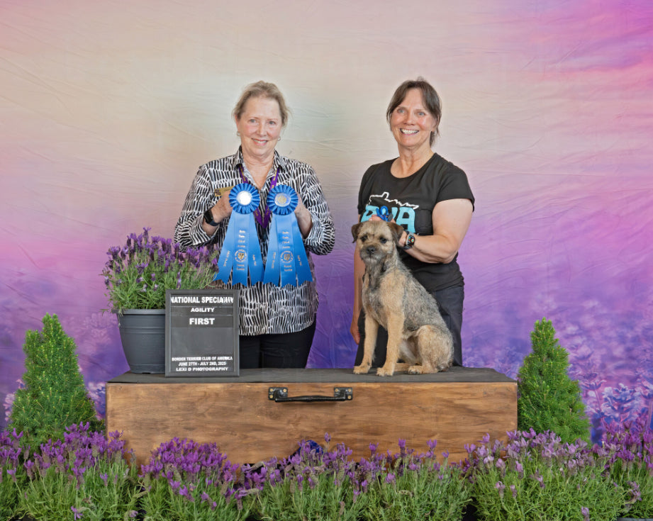 Lavender Field Purple Flowers Summer Photography Backdrop D790