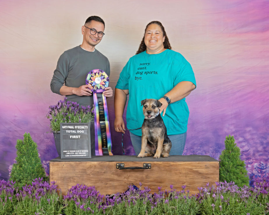 Lavender Field Purple Flowers Summer Photography Backdrop D790