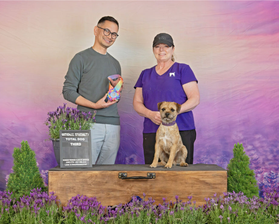 Lavender Field Purple Flowers Summer Photography Backdrop D790