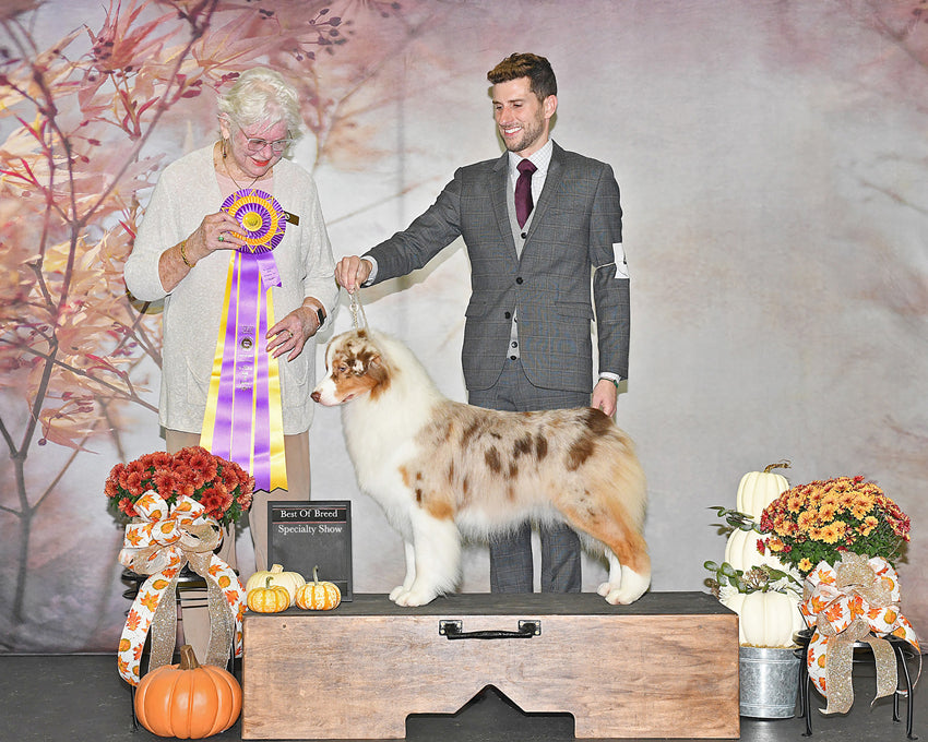 Swaying Flowers Blurry Abstract Backdrop D965