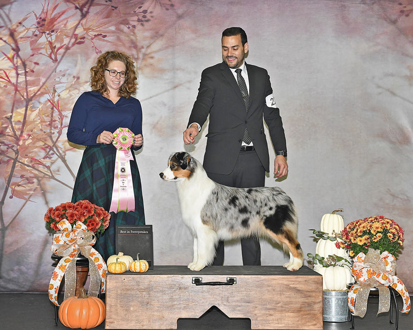 Swaying Flowers Blurry Abstract Backdrop D965