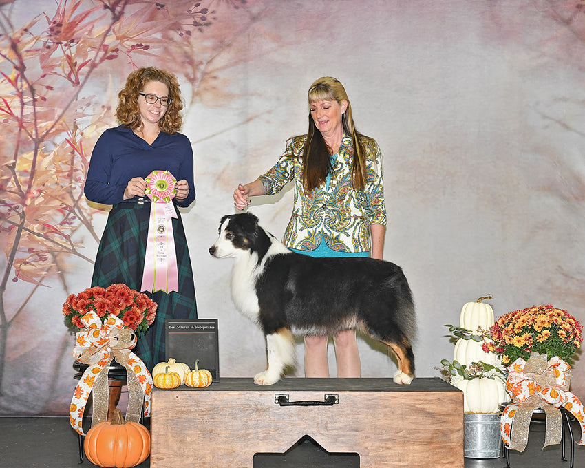 Swaying Flowers Blurry Abstract Backdrop D965