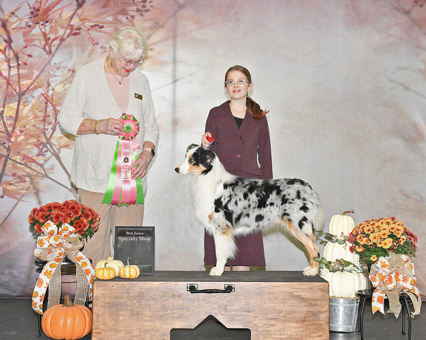 Swaying Flowers Blurry Abstract Backdrop D965