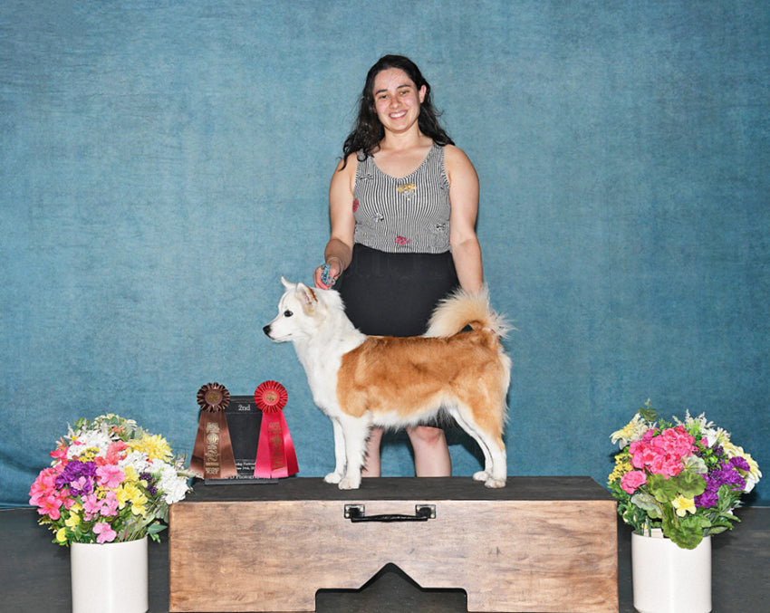 Abstract Texture Green Vinatge Portrait Backdrop for Photography DHP-502