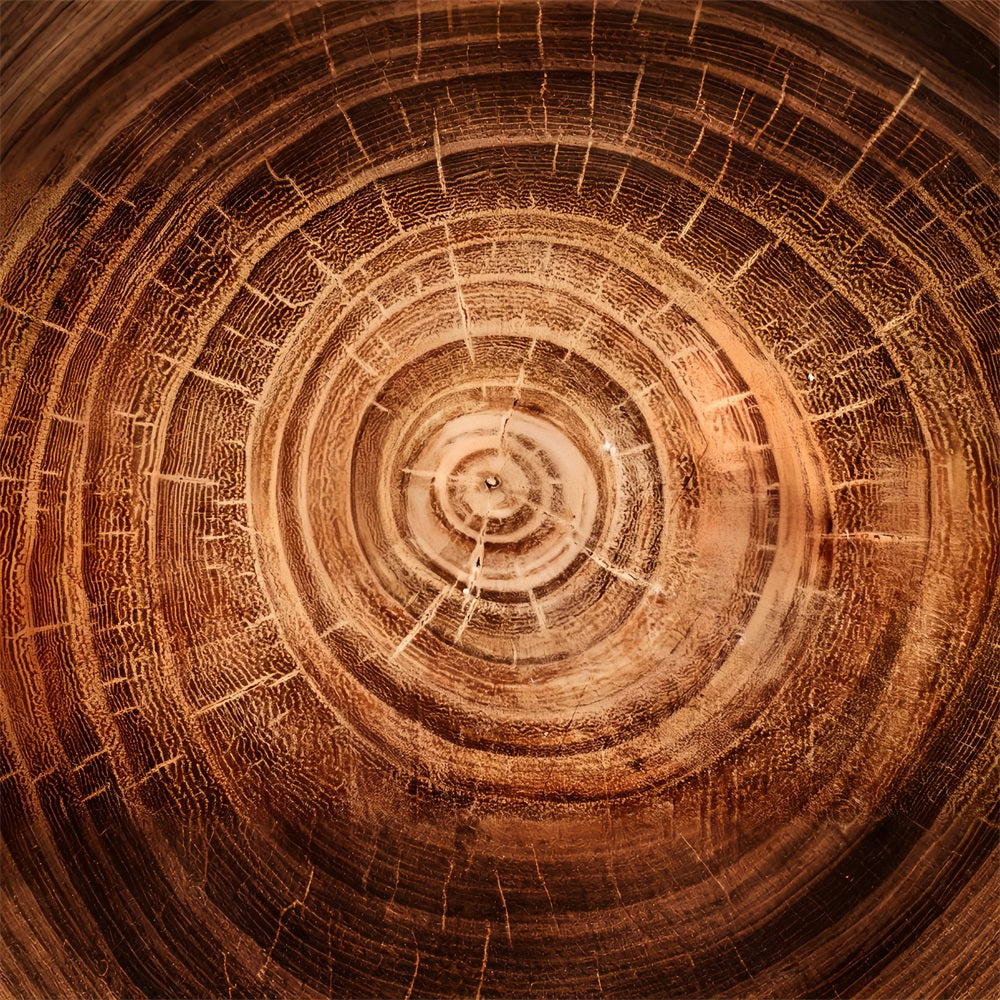 Real Wood Backdrop Tree Growth Rings Backdrop GQ4-132