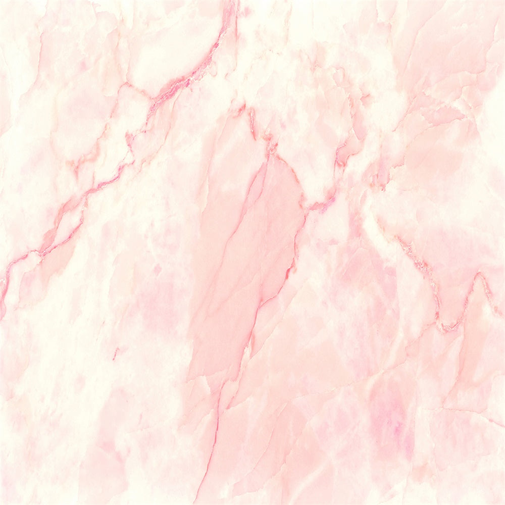 Pink Marble Backdrop Elegant Pale Pink Photography Backdrop GQ4-139