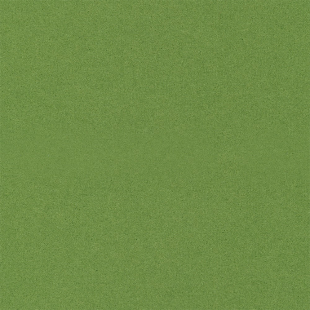 Graduation Portrait Backdrop Pure Green Smooth Backdrop GQ4-178