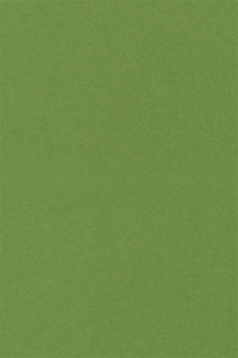 Graduation Portrait Backdrop Pure Green Smooth Backdrop GQ4-178
