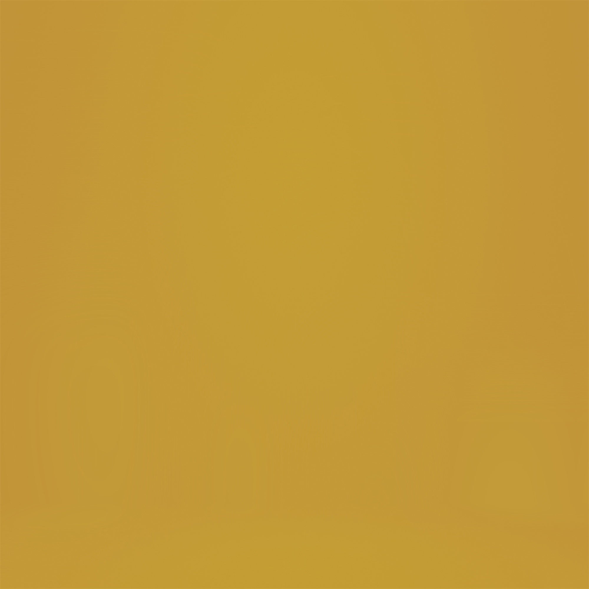 Headshot Backdrops Vintage Yellow Studio Backdrop GQ4-190
