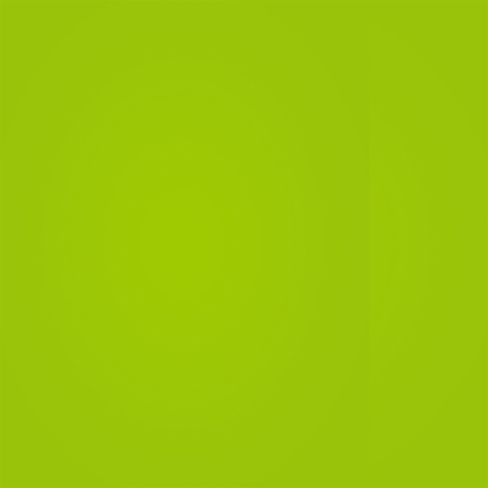 School Photo Backdrop Zesty Green Smooth Backdrop GQ4-191