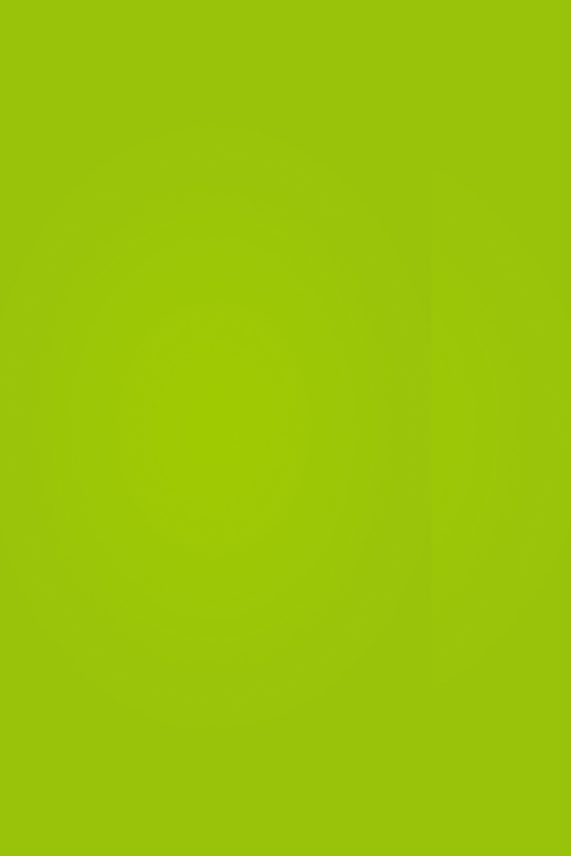School Photo Backdrop Zesty Green Smooth Backdrop GQ4-191