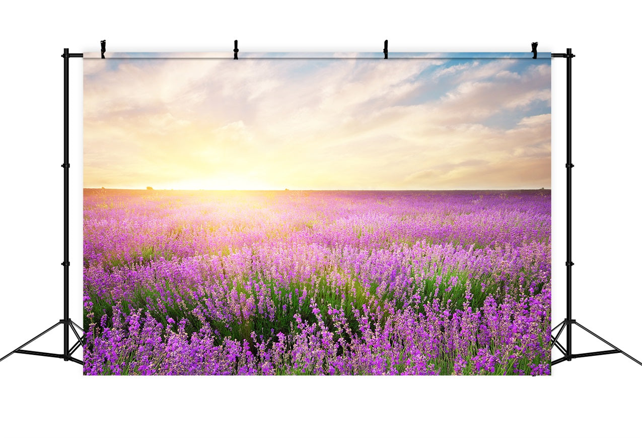 Lavender Backdrop Morning Bloom Floral Photography Backdrop GQ4-21