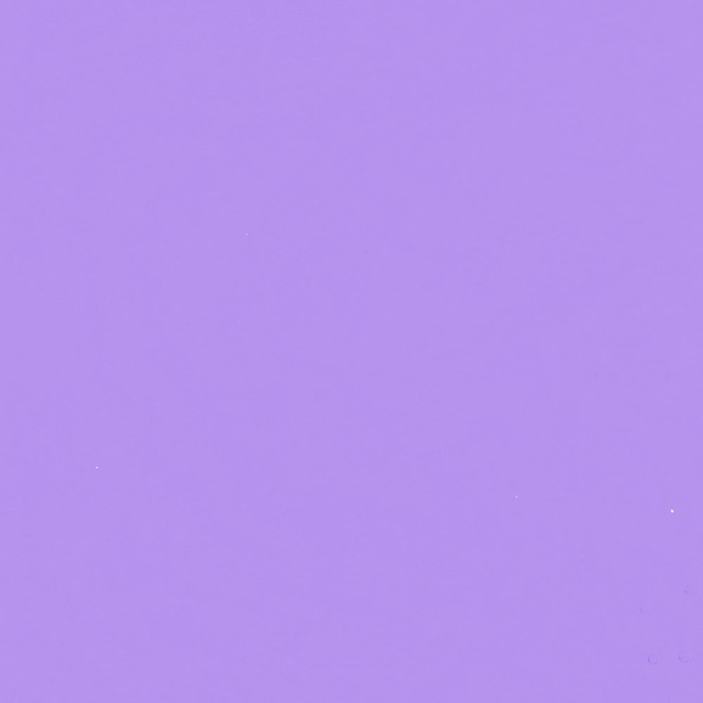 Professional Graduation Photo Backdrop Pale Mauve Smooth Backdrop GQ4-211