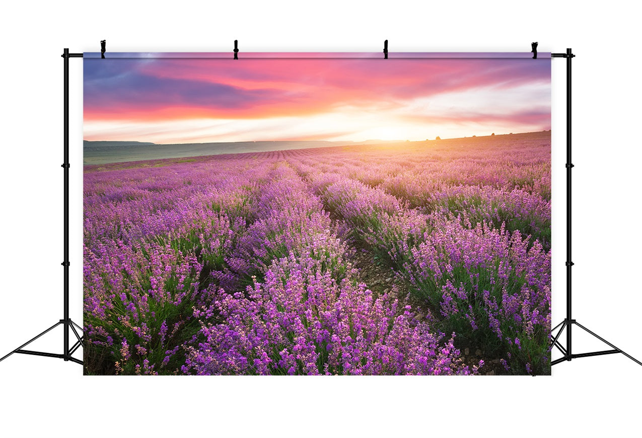 Purple Backdrop For Photography Sunset Lavender Rows Backdrop GQ4-22