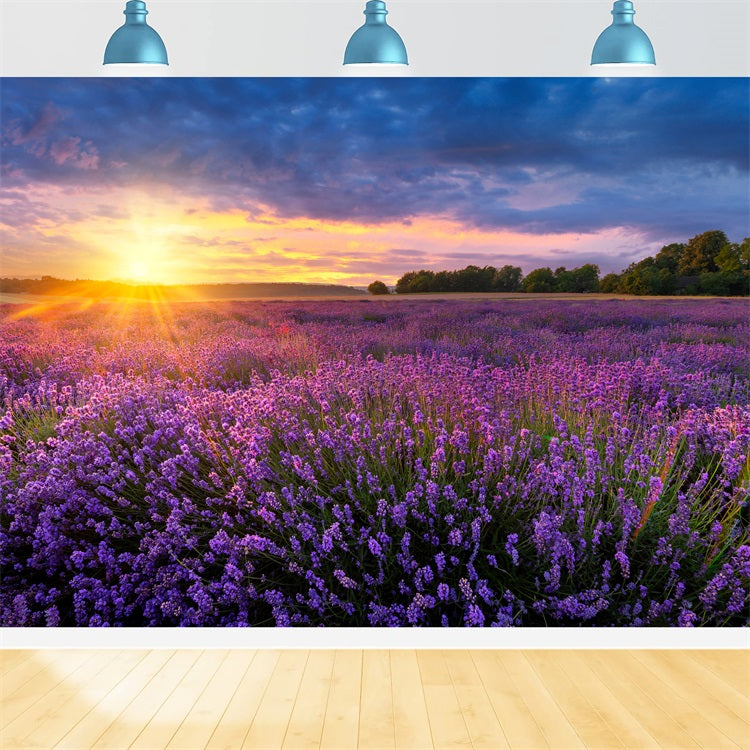 Lavender Photo Backdrop Twilight Purple Meadow Backdrop GQ4-24