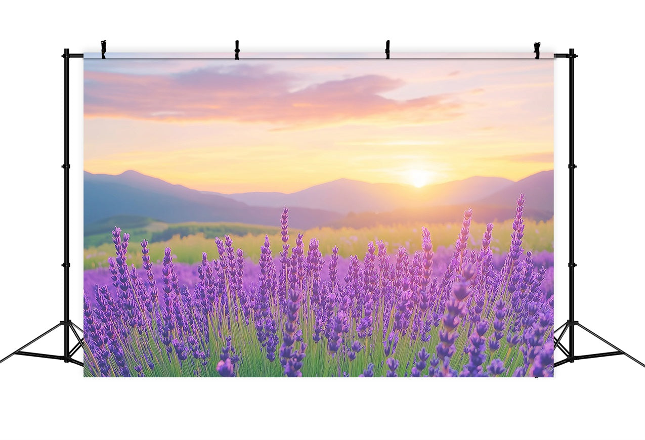 Purple Flower Backdrop Lavender Sunset Field Photography Backdrop GQ4-27