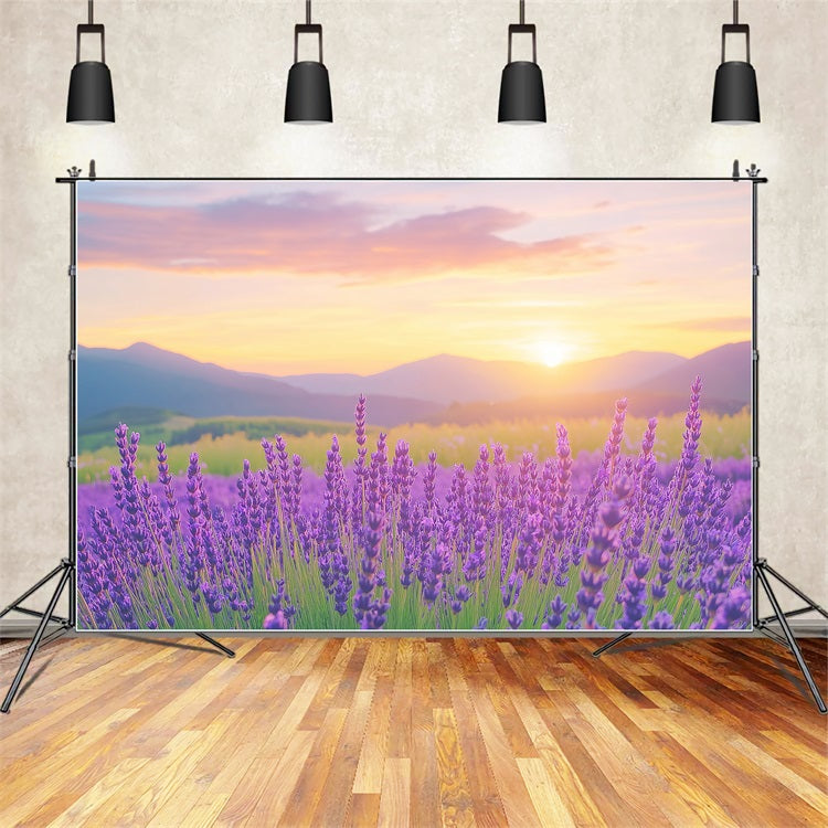 Purple Flower Backdrop Lavender Sunset Field Photography Backdrop GQ4-27