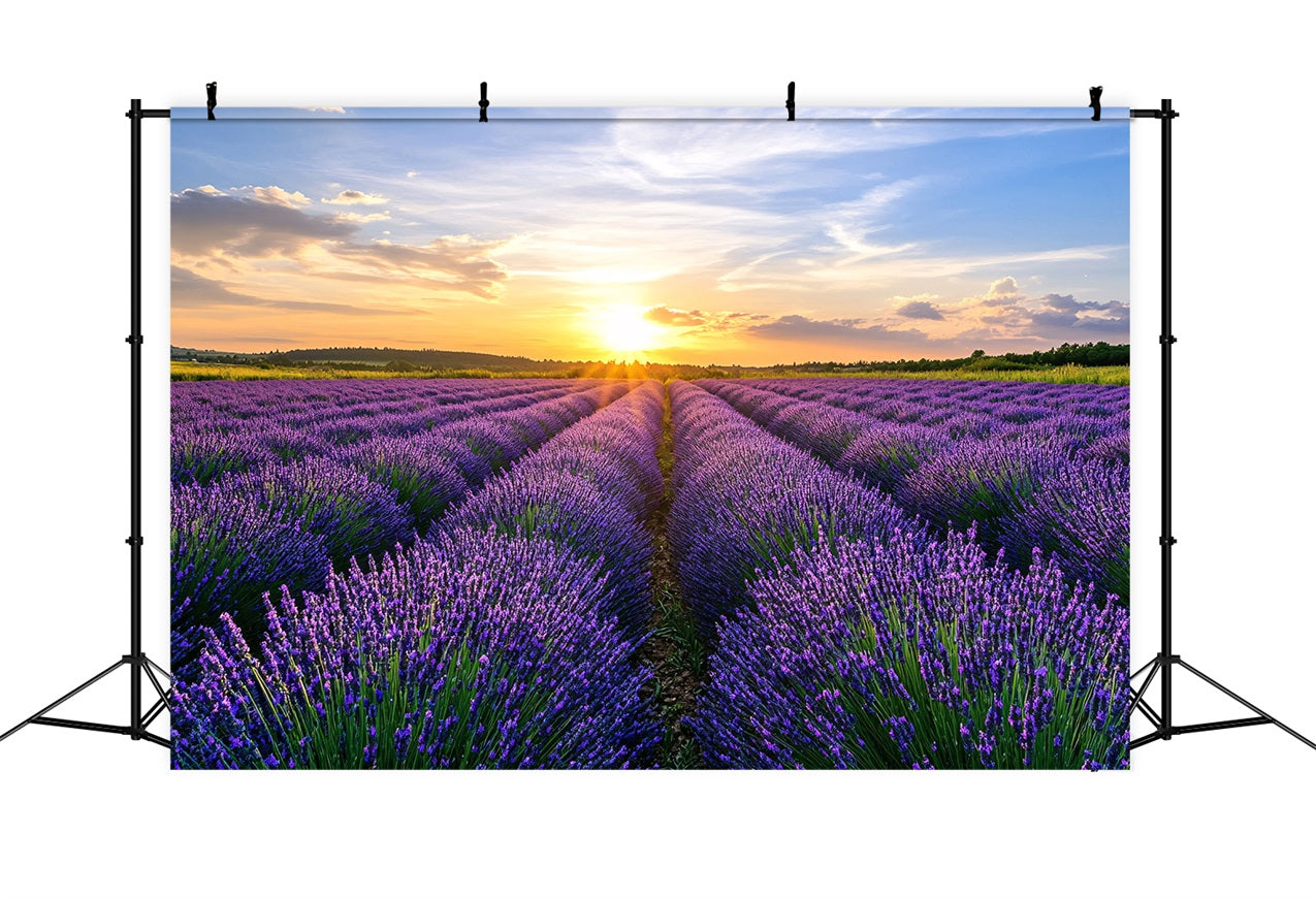Purple Flowers Backdrop Blooming Lavender Horizon Photo Backdrop GQ4-29