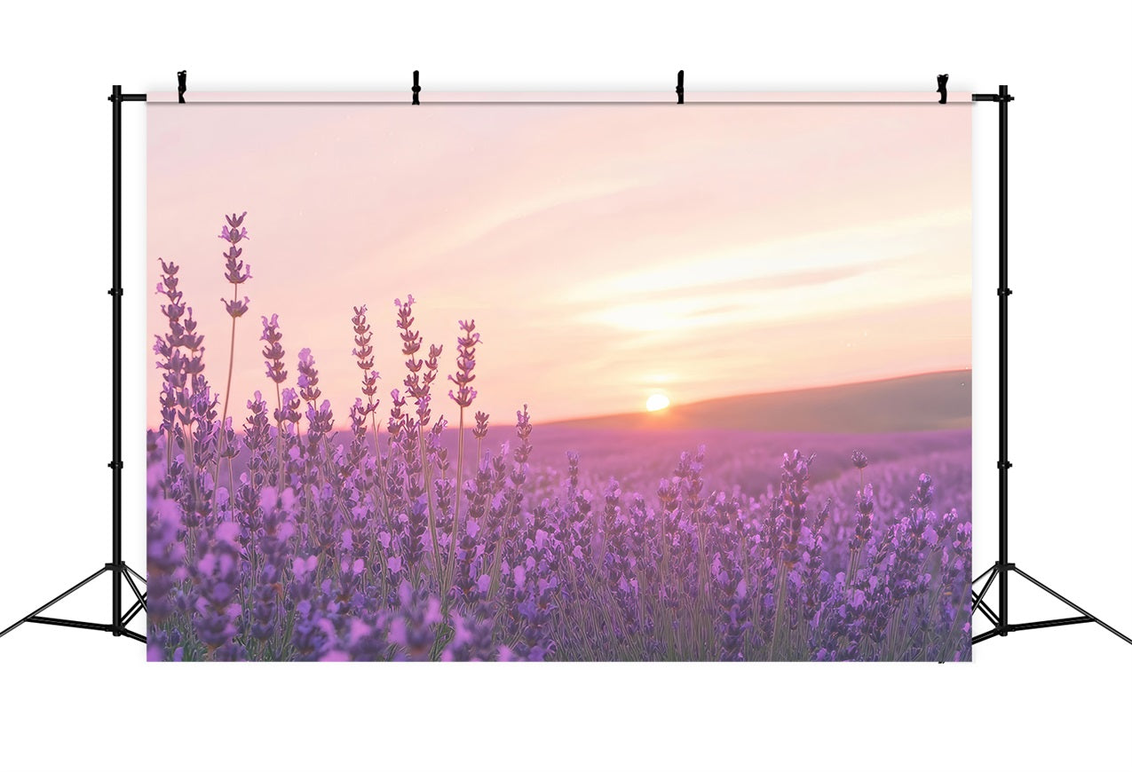 Lavender Photo Backdrop Sunset Floral Field Backdrop GQ4-32