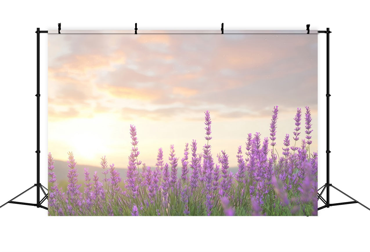Lavender Backdrops Warm Glow Purple Flower Backdrop GQ4-33