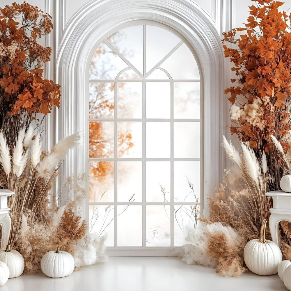 Autumn Backdrop Elegant White Pumpkin Window Backdrop GQ5-85