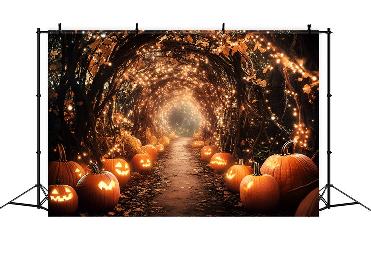 Fall Photography Backdrops Halloween Pumpkin Path Backdrop GQ5-97