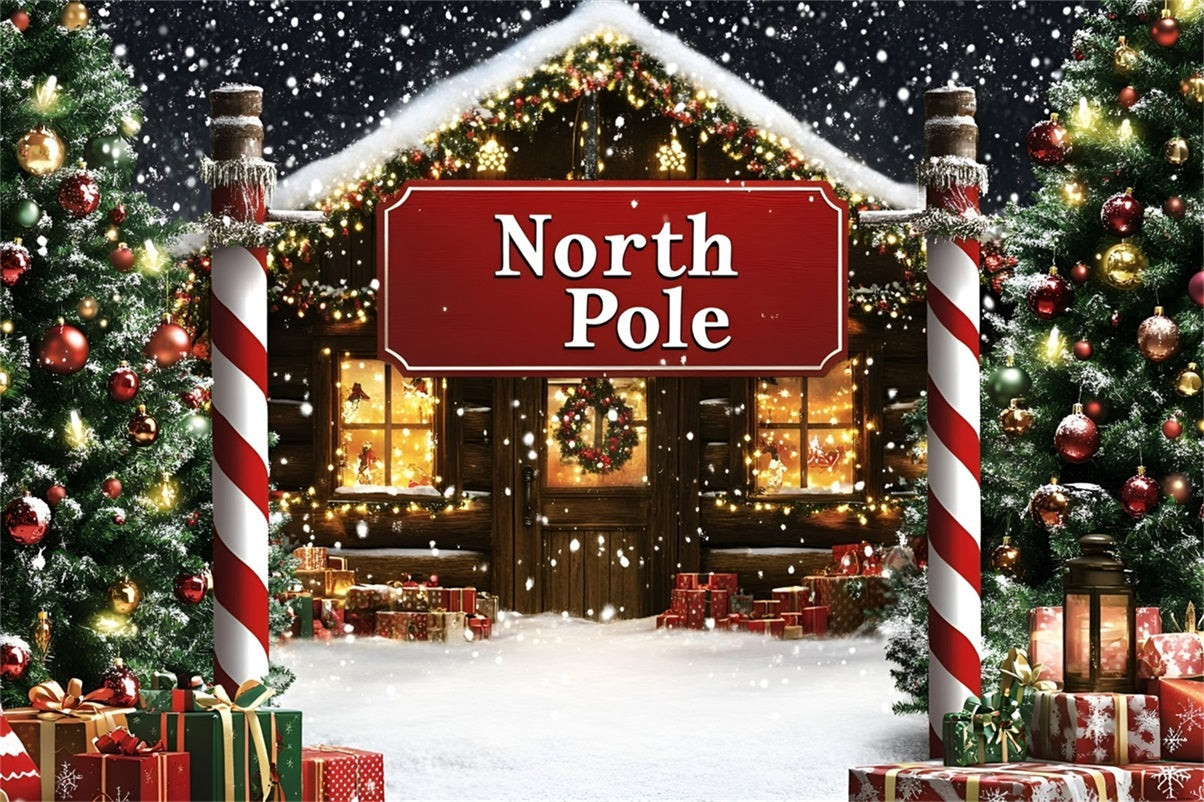 North Pole Backdrop Snowy North Pole Cottage Entrance Professional Christmas Backdrops GQ58-52