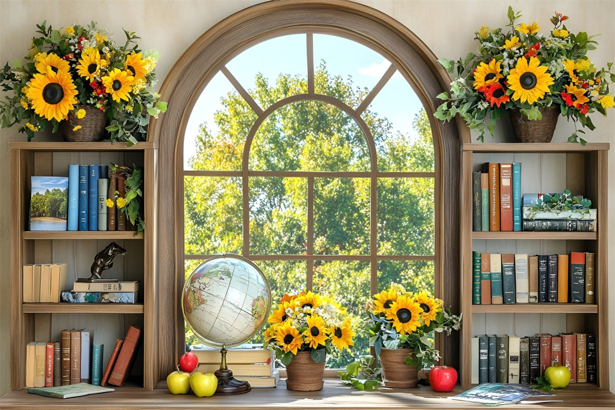 Back To School Photo Backdrop Sunny Window Study Backdrop GQ6-119