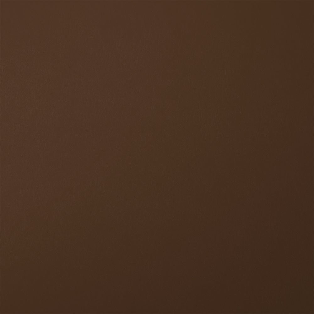 Graduation Portrait Backdrop Chocolate Brown Studio Backdrop GTY3-320