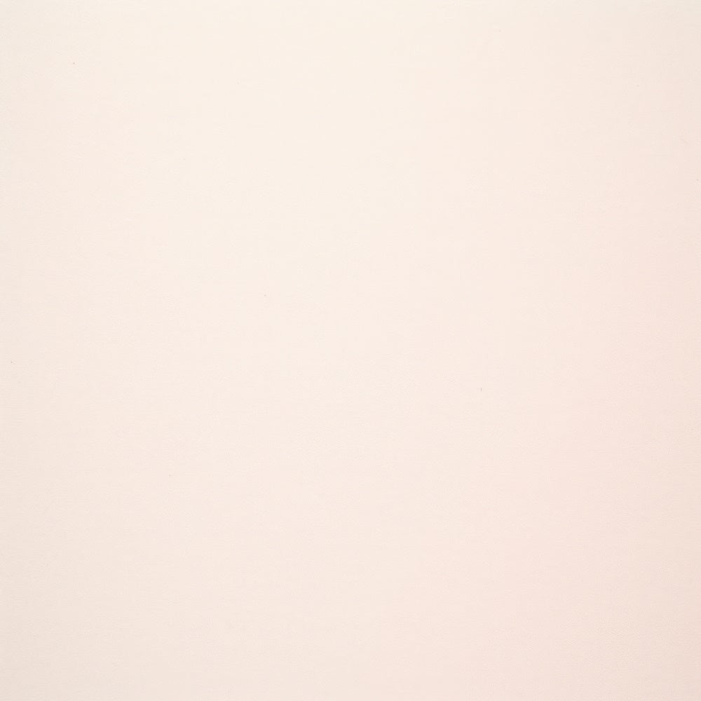 Backdrop For Headshots Soft Beige Minimalist Backdrop GTY3-349