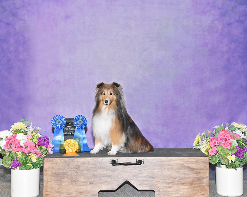 Purple Abstract Fine Art Studio Backdrop HF-0020