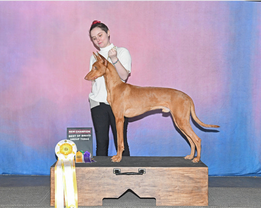 Abstract Texture Photo Studio Backdrop HF-0021