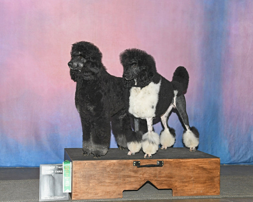 Abstract Texture Photo Studio Backdrop HF-0021