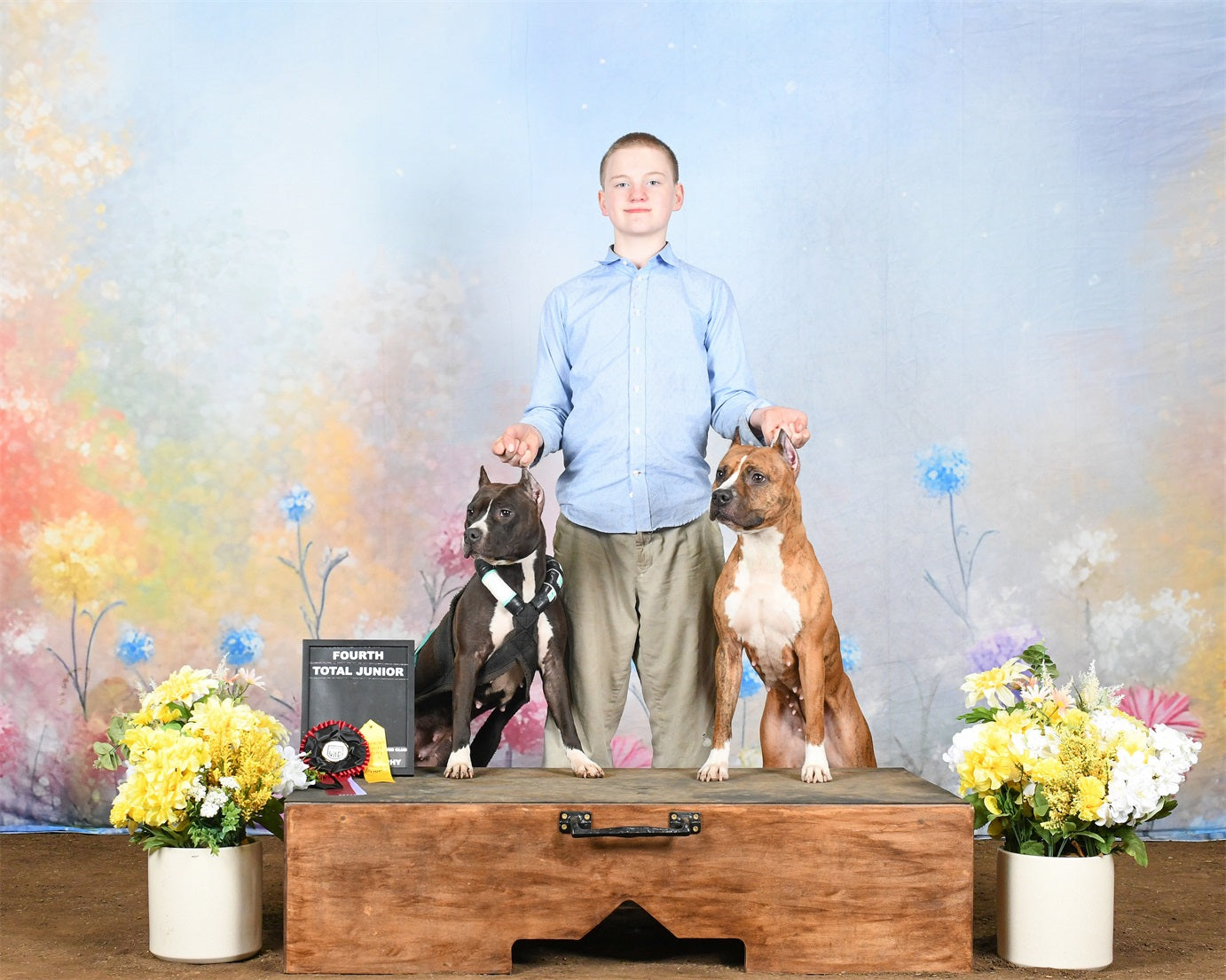 Spring Backdrops Photography Pastel Wildflower Meadow Backdrop LXX1-149