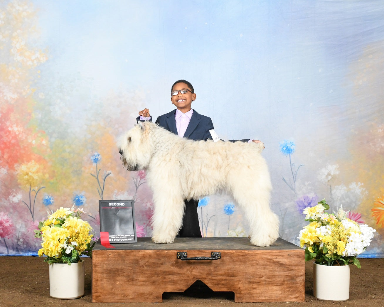 Spring Backdrops Photography Pastel Wildflower Meadow Backdrop LXX1-149