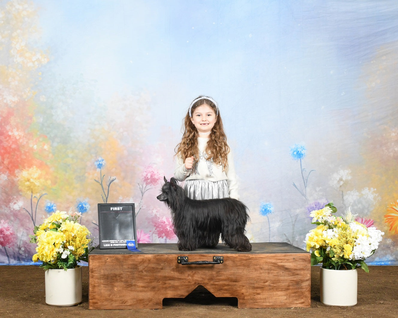 Spring Backdrops Photography Pastel Wildflower Meadow Backdrop LXX1-149