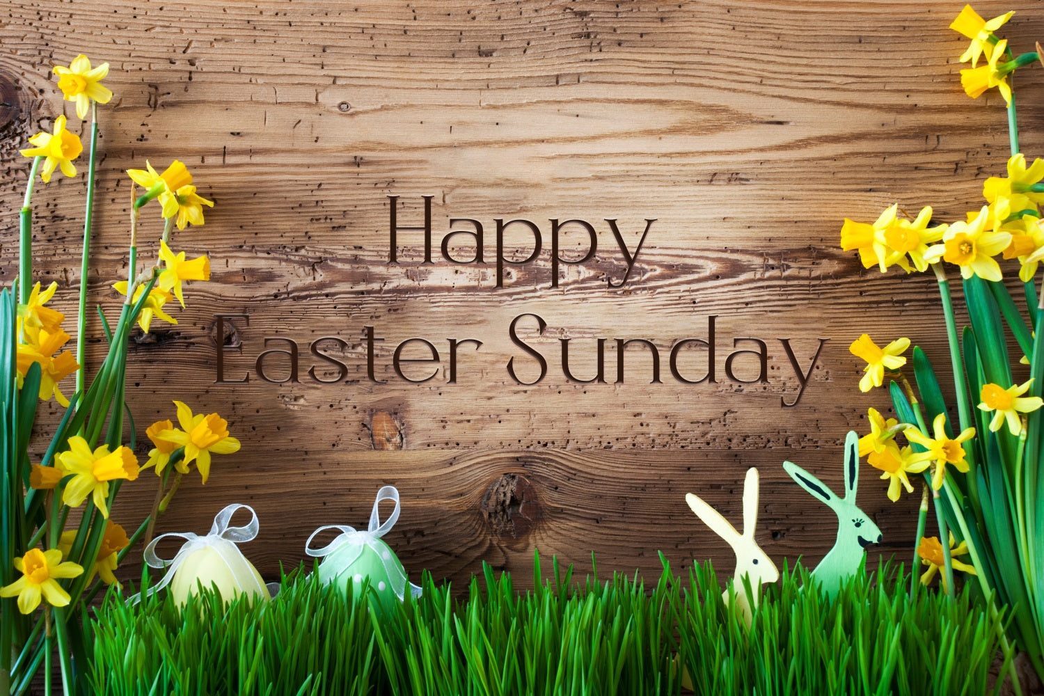 Easter Photo Backdrops Rustic Wood Daffodil Personalized Backdrop LXX3-92