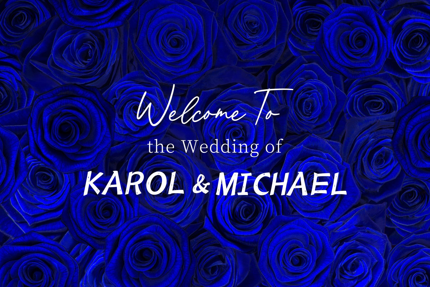 Customized Wedding Backdrop Luxurious Blue Rose Backdrop LXX4-93