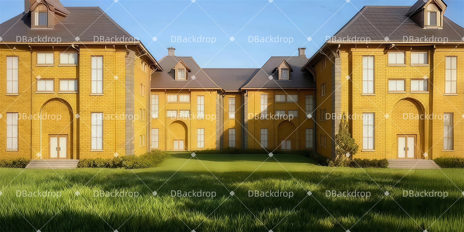 Large Stage Backdrops Morning Campus View Theater Backdrop LXX511-T71