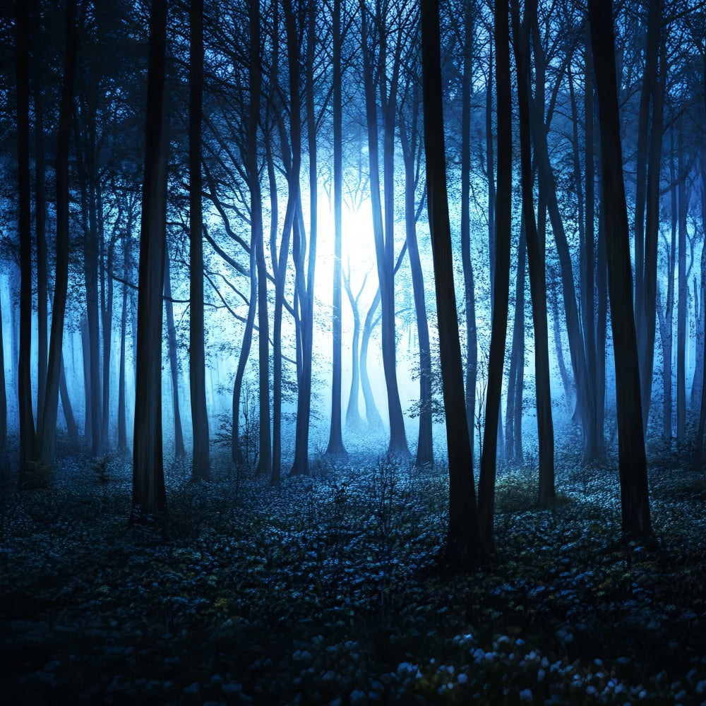 Dark Forest Backdrop Midnight Mist Grove Backdrop LXX57-115