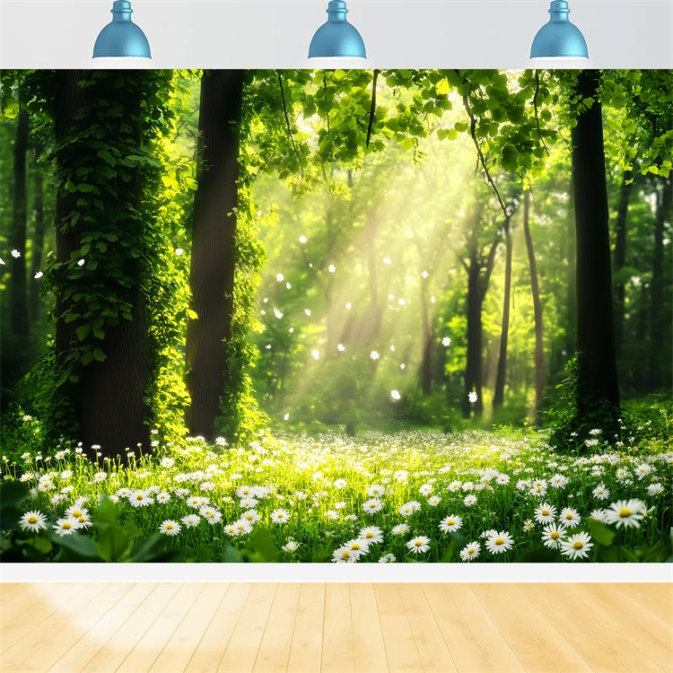 Forest Photography Backdrop Daisy Sunbeam Meadow Backdrop LXX57-132