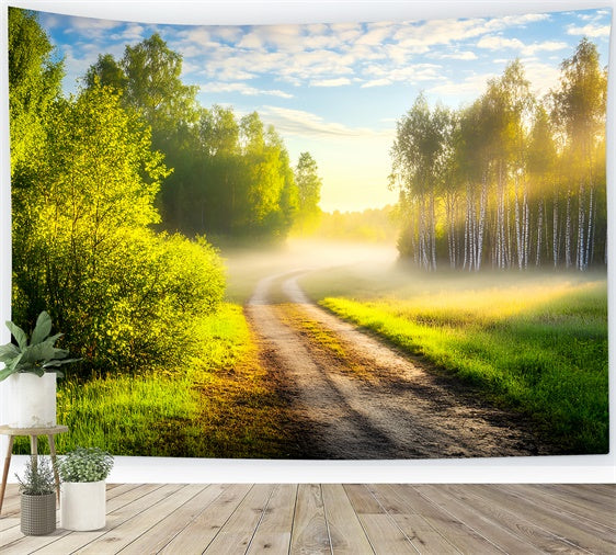 Forest Backdrop Photography Morning Glow Pathway Backdrop LXX57-145