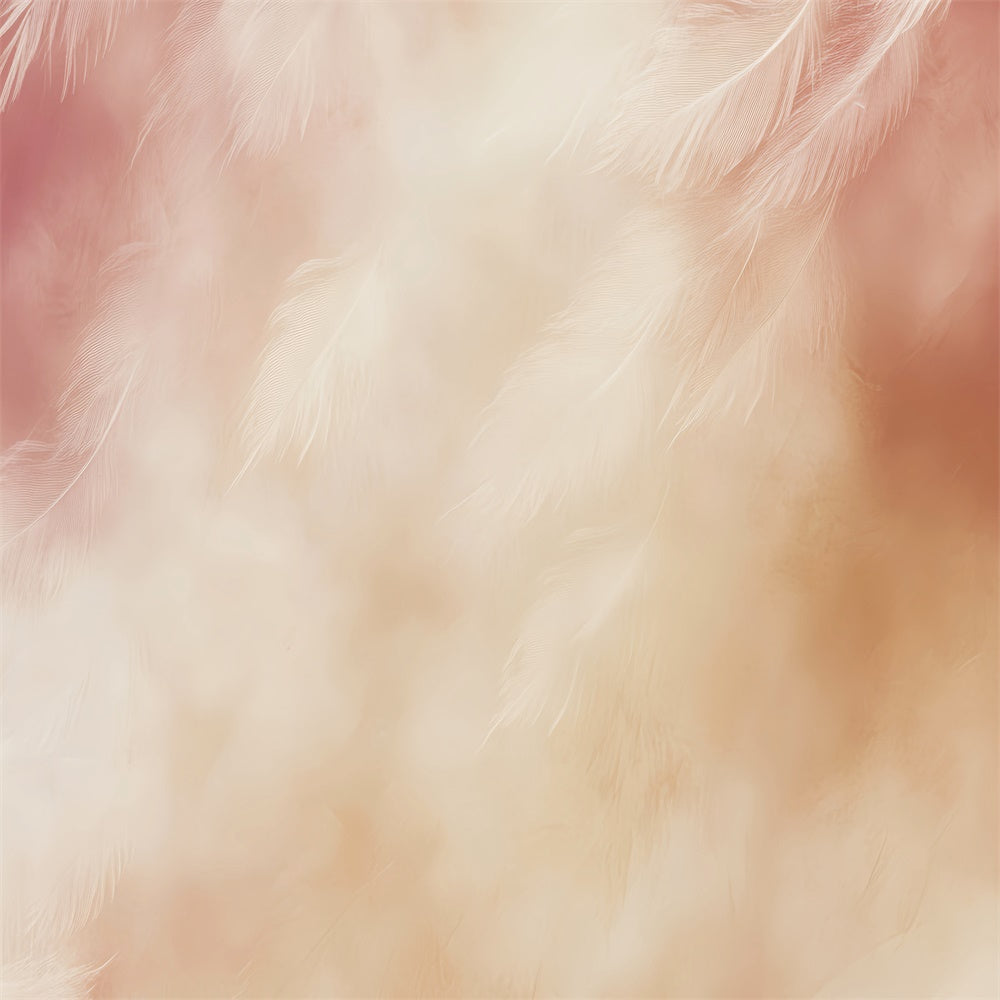 Photo Portrait Backdrop Feather Blush Glow Backdrop LXX57-253
