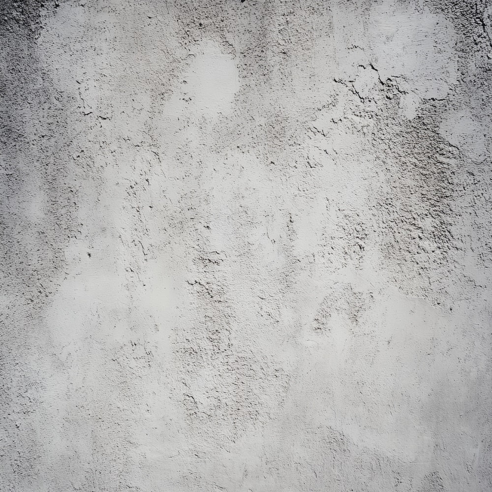 Concrete Backdrop Rough Concrete Wall Portrait Backdrop LXX57-255