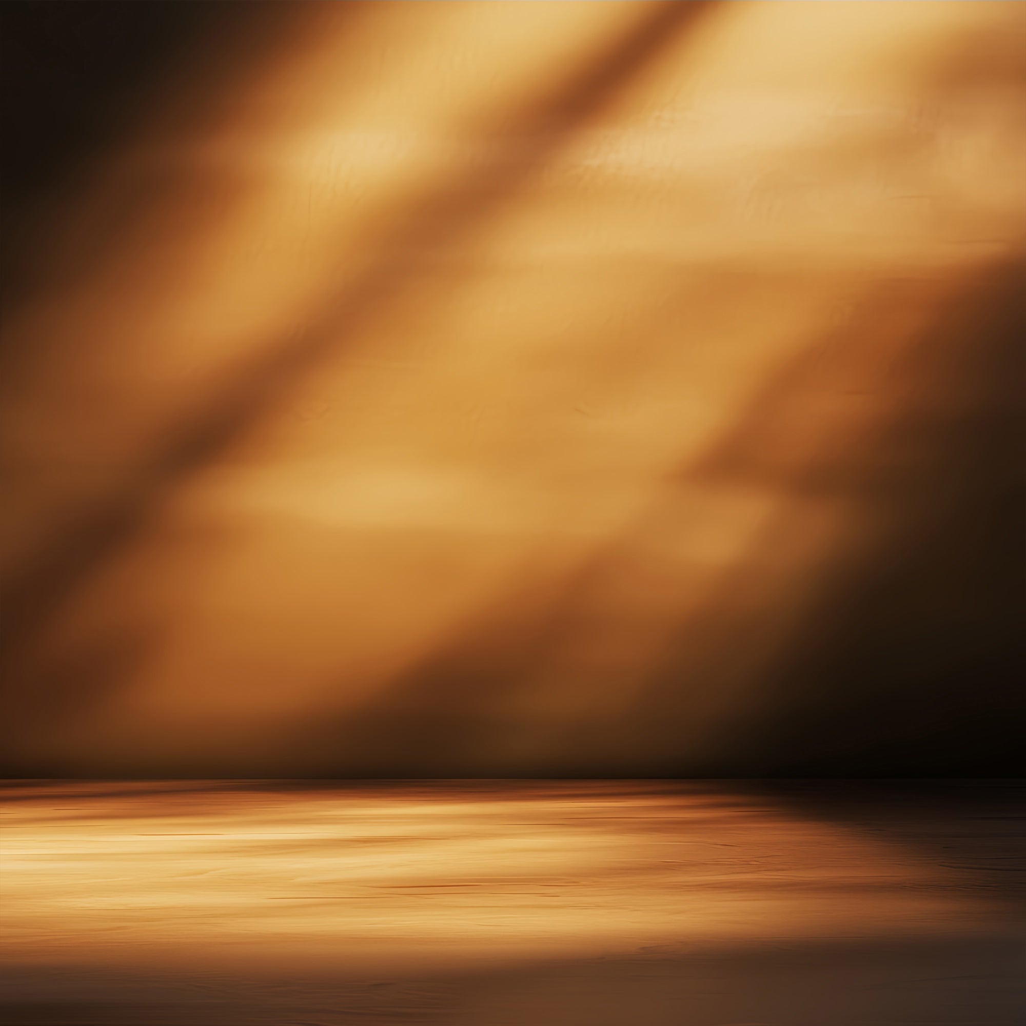 Portrait Photography Backdrop Moody Sunset Ray Backdrop LXX57-276