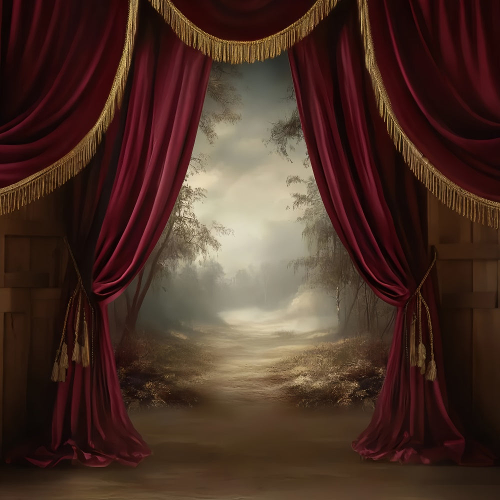 Portrait Backdrops Vintage Curtain Landscape Backdrop LXX57-289